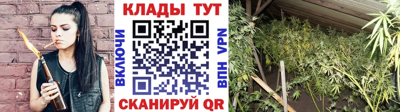Какие есть наркотики Себеж СК  Меф мяу мяу  Псилоцибиновые грибы  Канабис  COCAIN  ГАШИШ 